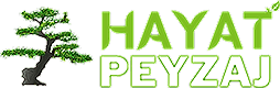 Hayat Peyzaj